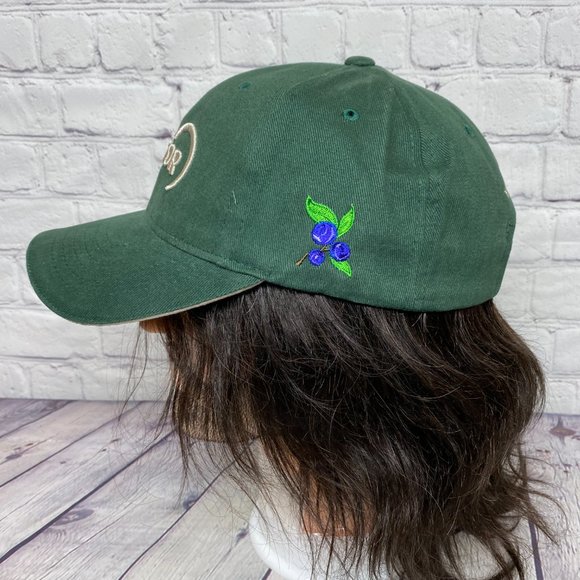 Oilfield Hat Cap Strap Back Green Suncor Energy WAPISIW Lookout Reclamation - Picture 2 of 11